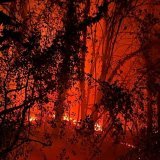 Environ 250 m2 de lisière ont été dévastés par les flammes à Flanthey (VS).